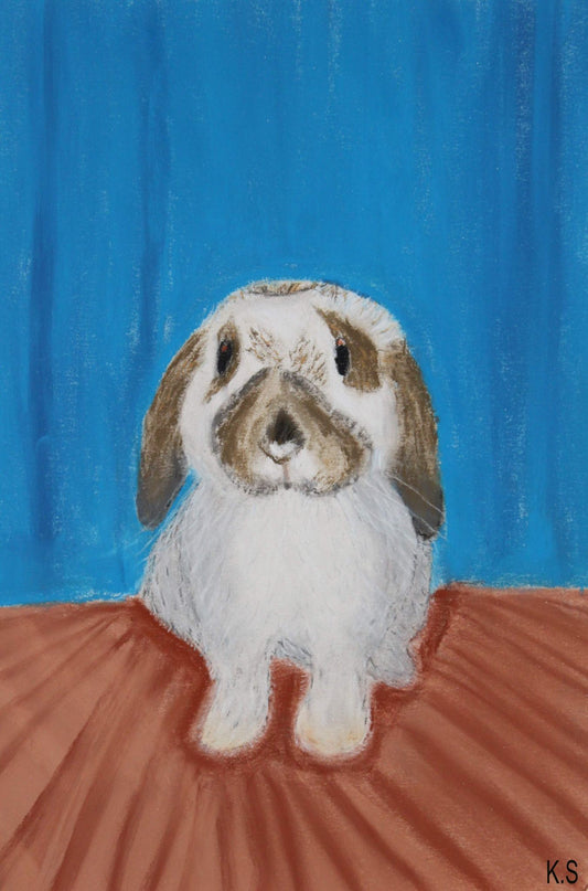 Traditional dry pastel commissions