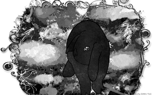 Black Holland lop bunny original artwork glossy print